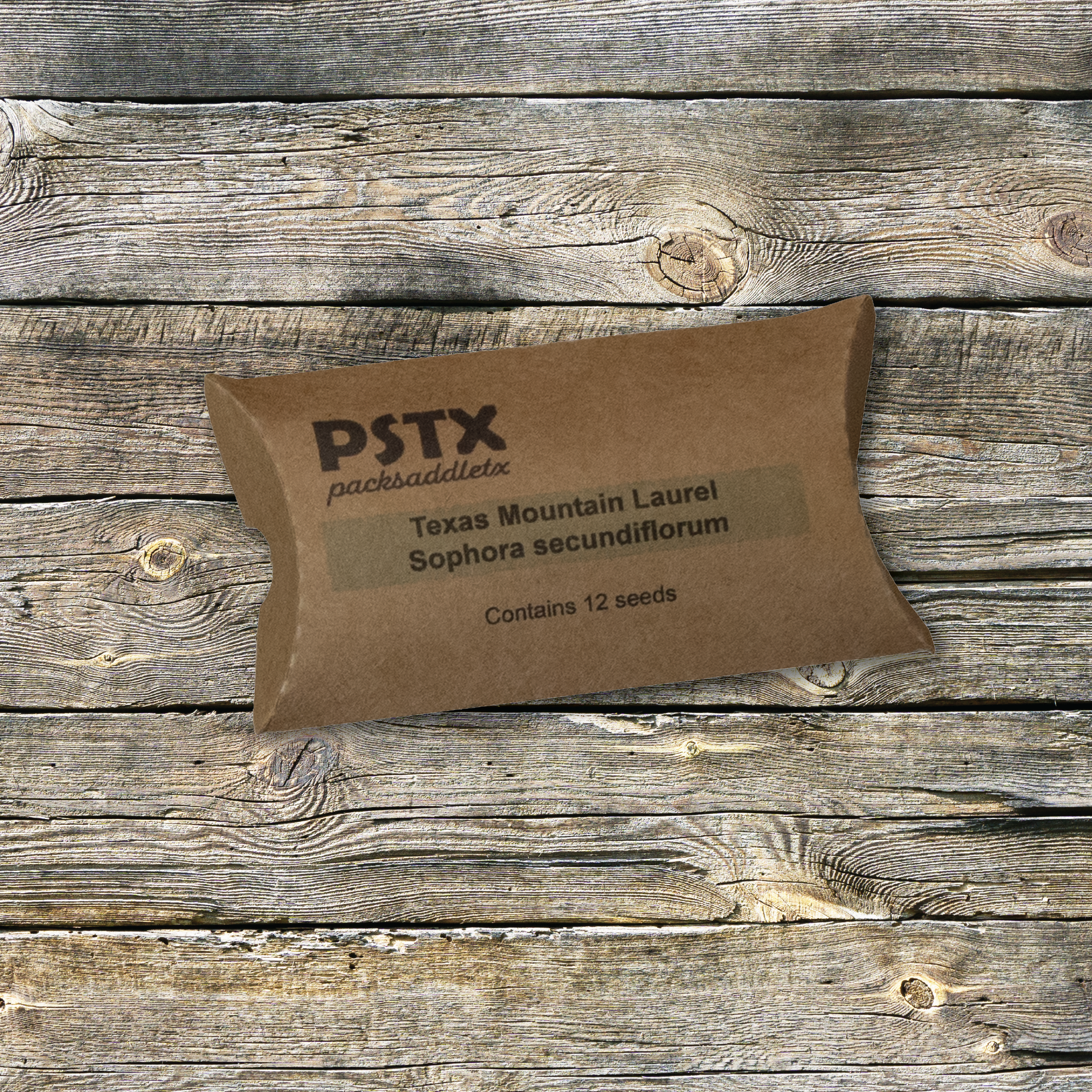 Texas Mountain Laurel Seeds in pillow pack